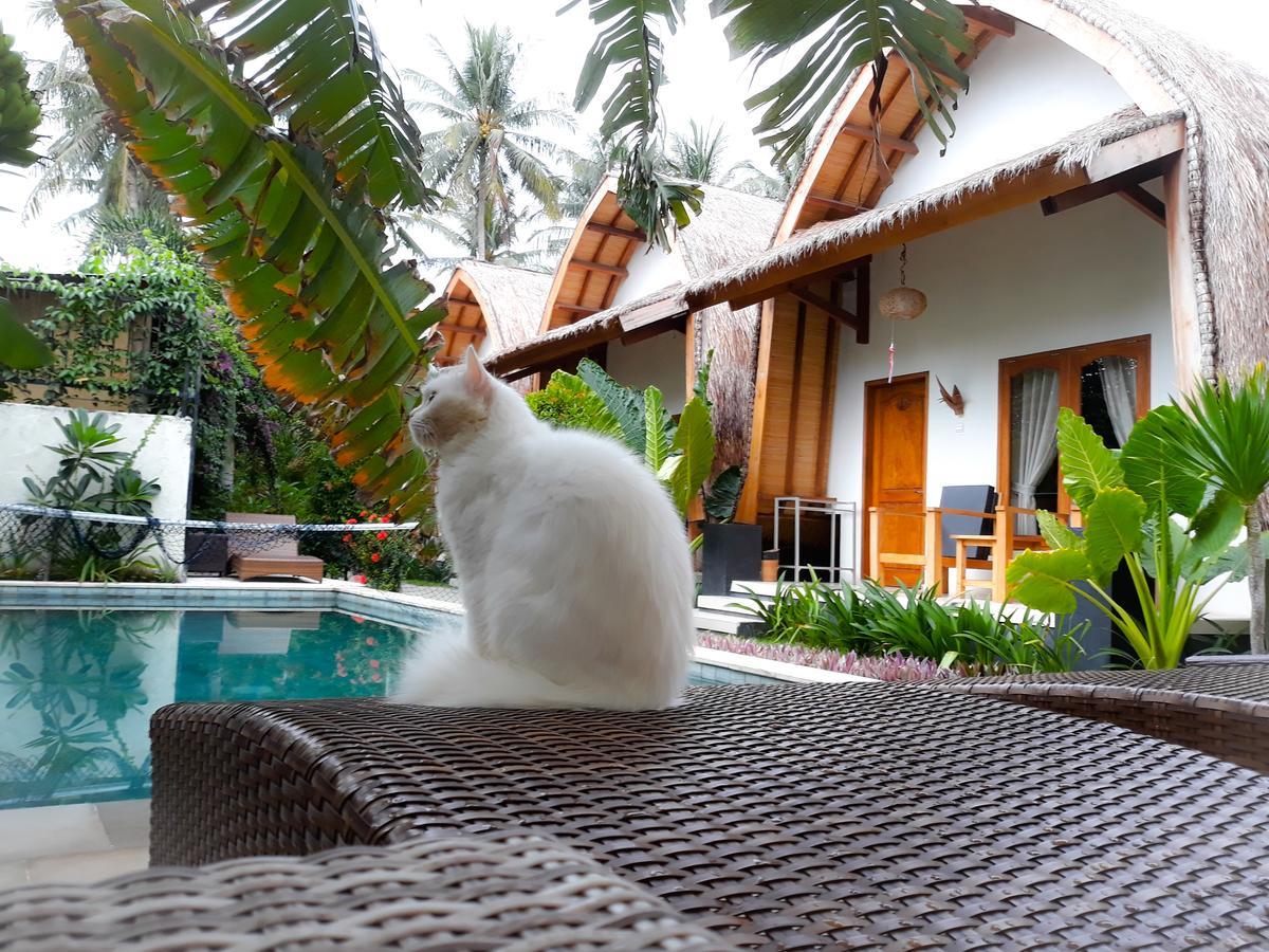 Teras Lombok Bungalow Senggigi Exteriér fotografie