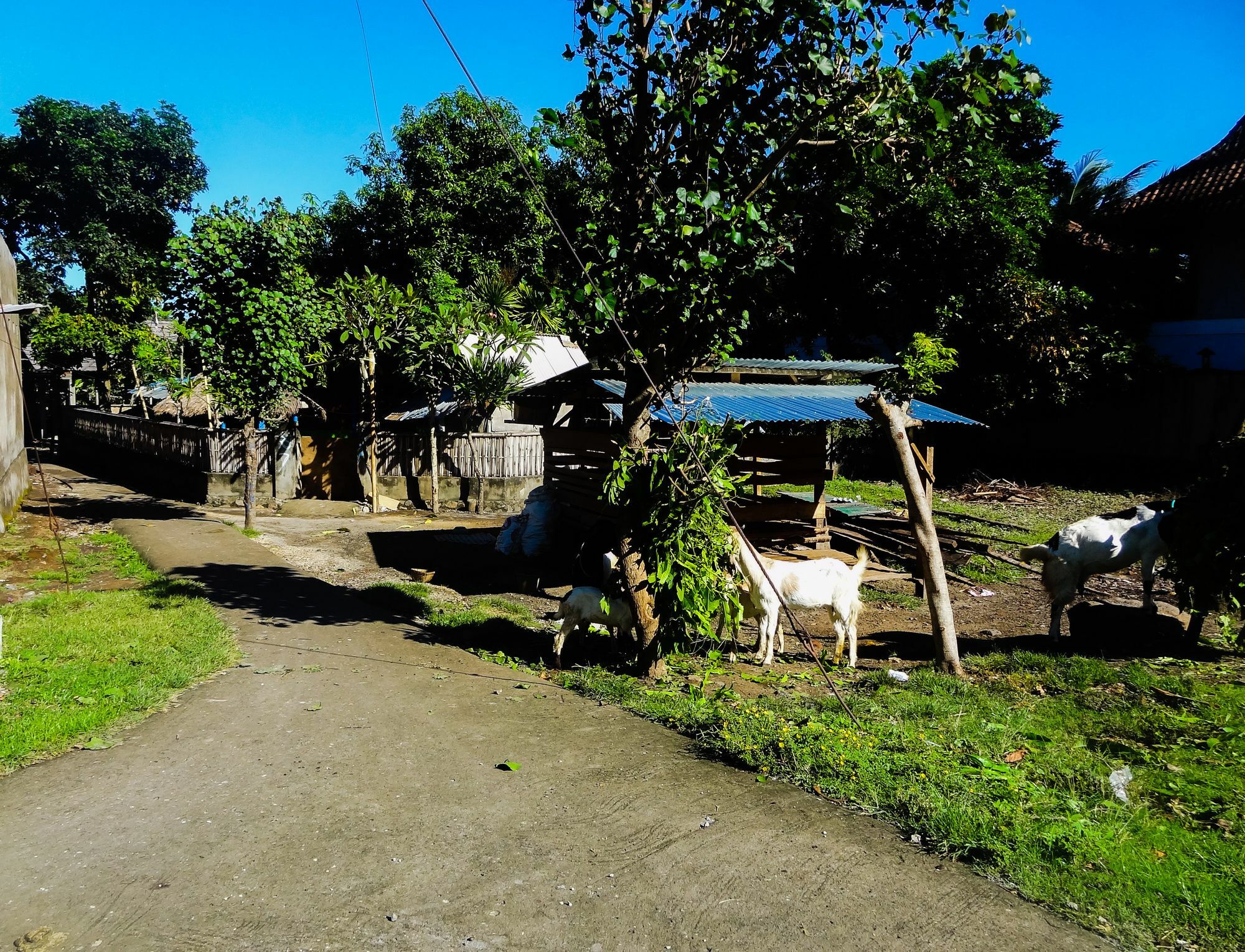 Teras Lombok Bungalow Senggigi Exteriér fotografie